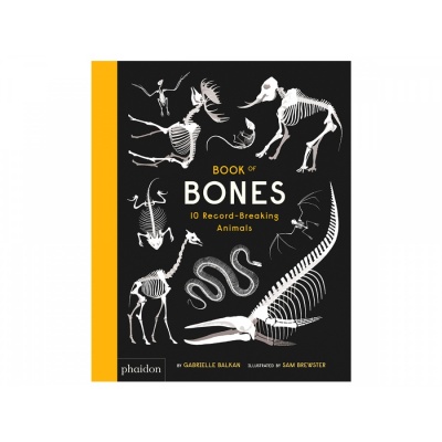 what my bones know book what my bones know book