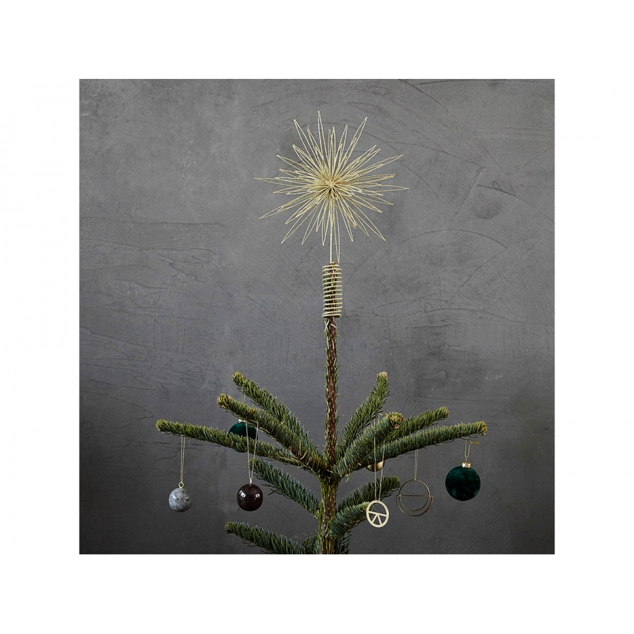 Weihnachtsstern Gold