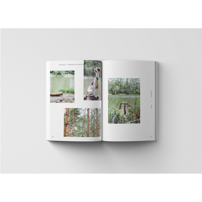 Walking Wild - Berlin mit Hund