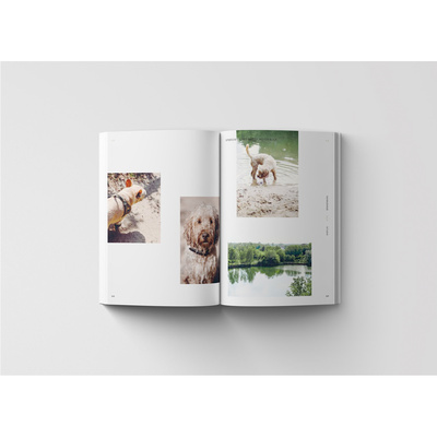 Walking Wild - Berlin mit Hund