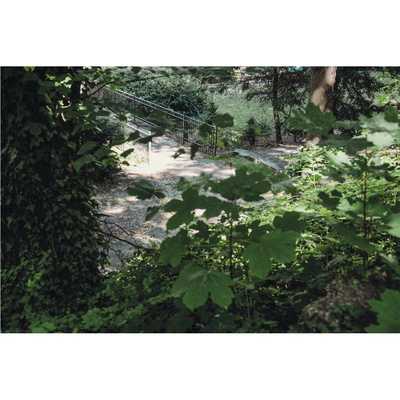 Walking Wild - Berlin mit Hund