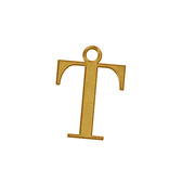 MR x MM Gold Letters T