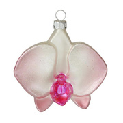 Ornament Rose Orchid
