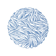 Paper Cut A4 ORGANIC CIRCLE ICE BLUE