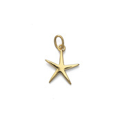 STARFISH Pendant
