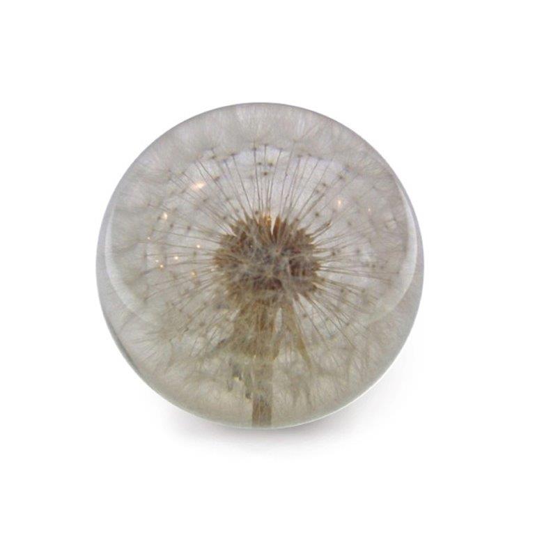 Paperweight Dandelion
