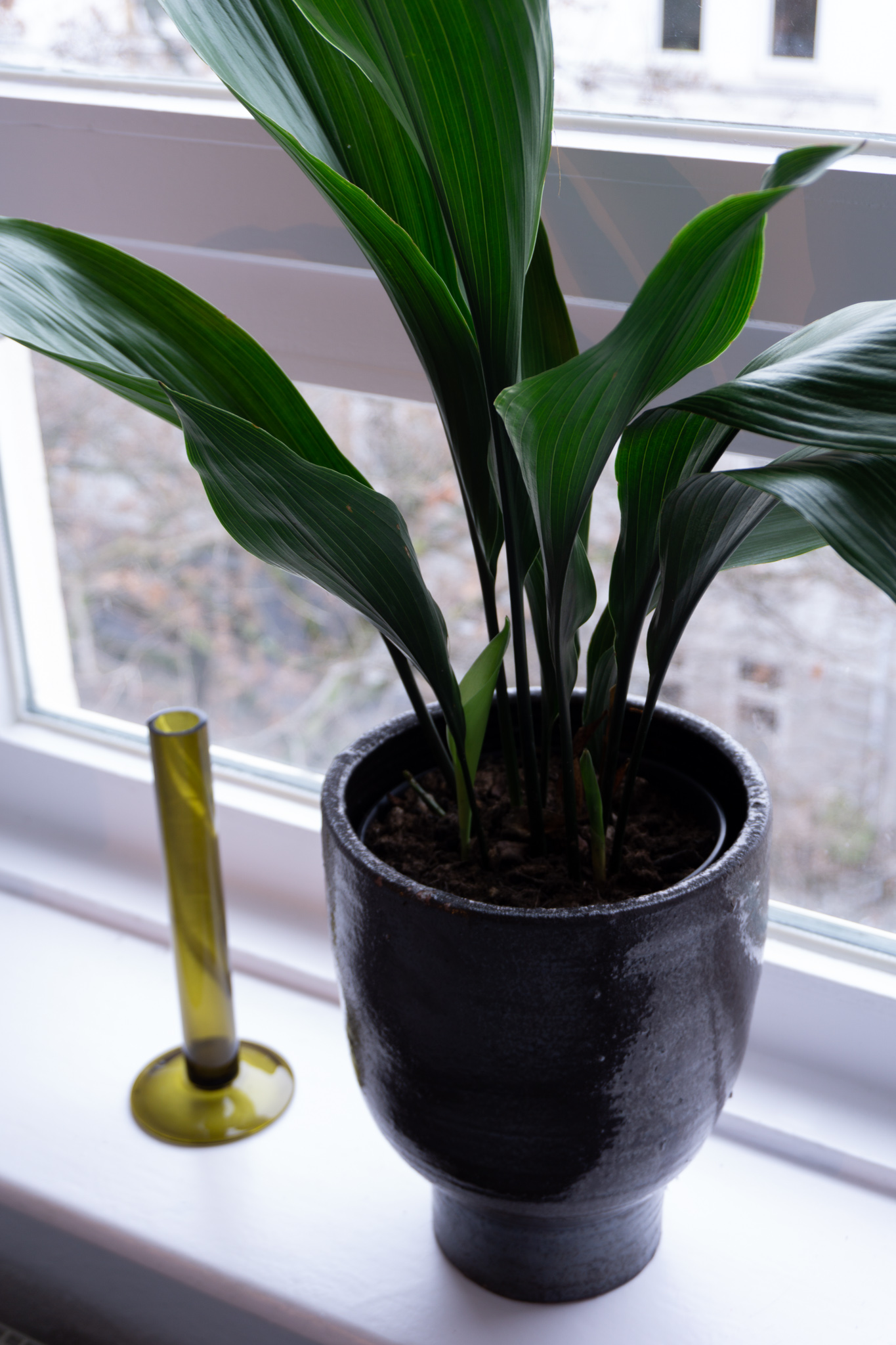 MINIMARKT Homestory: Julia Riess